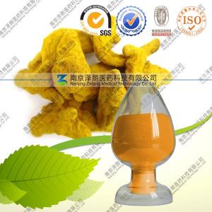 Natural Turmeric Root Extract (95% Curcumin)