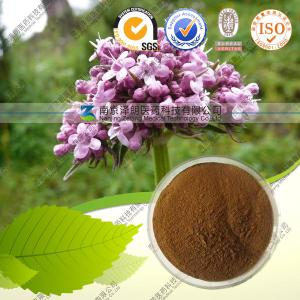 Valerian Root Extract Valerian Acid 0.8%